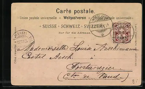 Lithographie Interlaken, Ortsansicht aus der Vogelschau