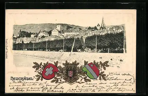 AK Neuchâtel, Ortsansicht mit Wappen