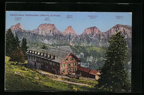 AK Flums, Alpenkurhaus Schönhalden ob Flums