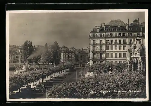 AK Genève, Panorama et Monument Brunswick