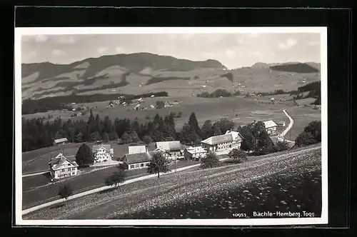 AK Bächle-Hemberg, Ortsansicht aus der Vogelschau