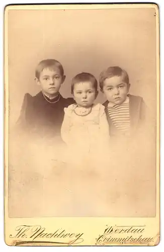 Fotografie Th. Nachtwey, Crimmitschau, Thiemestrasse, Drei Kinder in modischer Kleidung