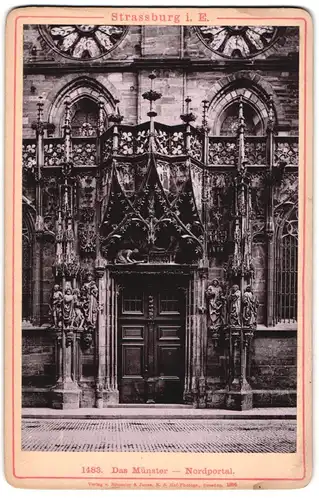 Fotografie Römmler & Jonas, Dresden, Ansicht Strassburg i. Els., Blick auf das Noprdportal des Münsters