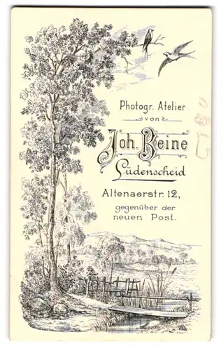 Fotografie Joh. Beine, Lüdenscheid, Altenaerstr. 12, Lanschaftansicht mit Schwalben