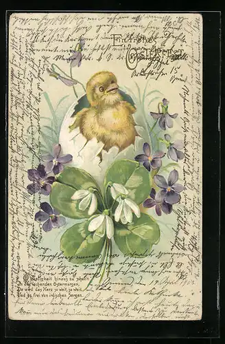 Präge-AK Osterküken mit Kleeblatt und Veilchen