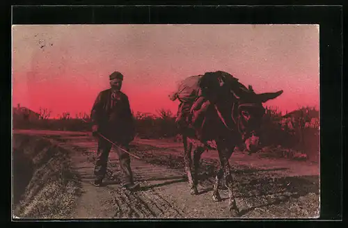 AK Bauer mit einem bepacktem Esel auf einer Strasse
