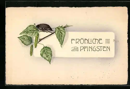 Künstler-AK Maikäfer auf einem kurzen Birkenzweig, Pfingstgruss