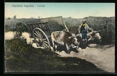 AK Argentinien, Bauer mit Ochsen-Gespann und Karren auf einer Strasse