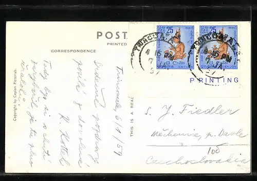 AK Ceylon, Tempel-Elefant mit Reiter im Wasser stehend