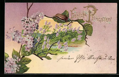 Lithographie Maikäfer und Flieder vor Landschaft, Pfingstgruss
