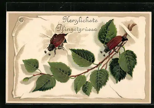 Präge-AK Zwei Maikäfer auf Papier mit Birkenzweig, Pfingstgruss
