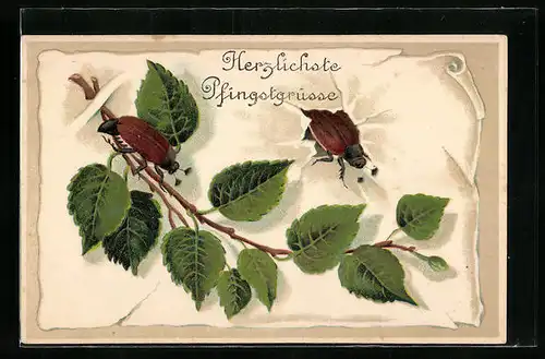 Präge-AK Zwei Maikäfer auf Papierblatt mit Birkenzweig, Pfingstgruss