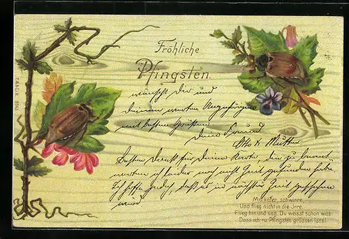 Lithographie Zwei Maikäfer auf Blättern, Pfingstgruss