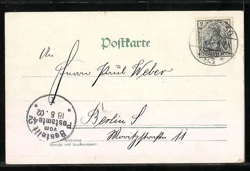 Lithographie Zwei Maikäfer auf Blättern, Pfingstgruss