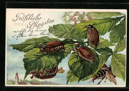 Präge-AK Maikäfer laben sich an Blättern, Pfingstgruss