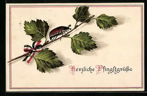 Künstler-AK Ein Maikäfer auf einem Birkenzweig mit Schleife in schwarz-weiss-rot, Pfingstgruss