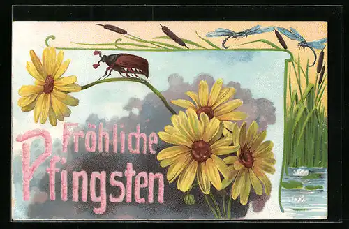 Präge-AK Maikäfer krabbelt auf einer gelben Blume, Pfingstgruss