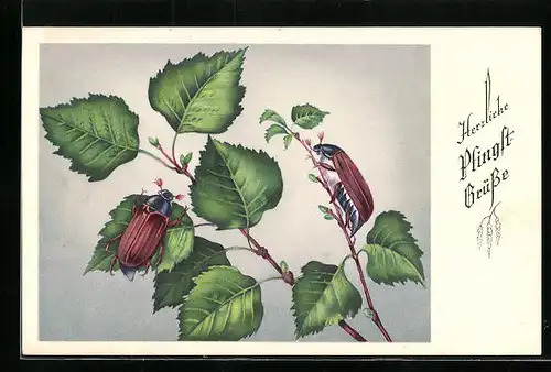 Künstler-AK Zwei Maikäfer auf dünnen Birkenzweigen, Pfingstgruss