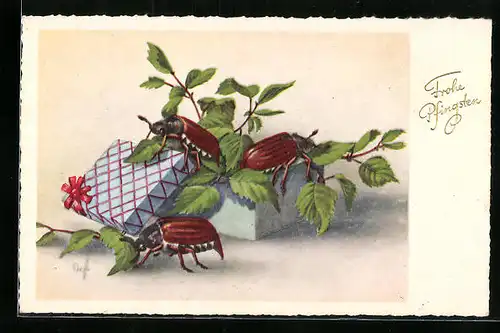Künstler-AK Drei Maikäfer krabbeln aus einerm Kistchen, Pfingstgruss