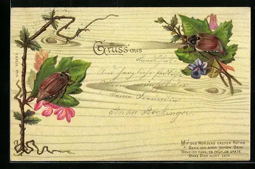 Lithographie Zwei Maikäfer auf den Blättern von Blumen