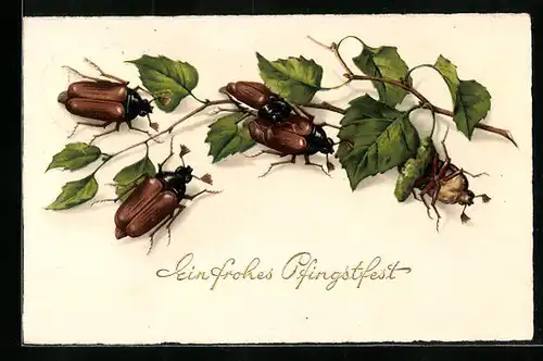 Künstler-AK Fünf Maikäfer mit Birkenzweig, Pfingstgruss