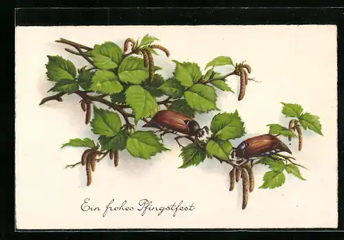 Künstler-AK Maikäfer laben sich an Birkenzweigen, Pfingstgruss