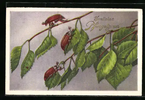 Künstler-AK Drei Maikäfer halten sich an Birkenblättern schadlos, Pfingstgruss