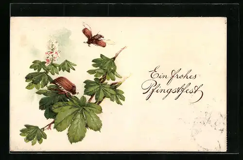 Künstler-AK Zwei Maikäfer an einem blühenden Kastanienzweig, Pfingstgruss