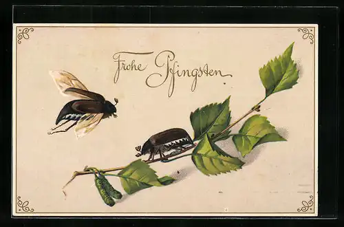 Künstler-AK Fliegender und krabbelnder Maikäfer mit Birkenzweig, Pfingstgruss