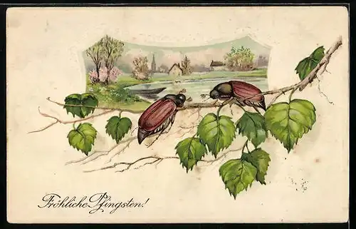 Präge-AK Frühlinsidylle und Maikäfer auf Birkenzweig, Pfingstgruss