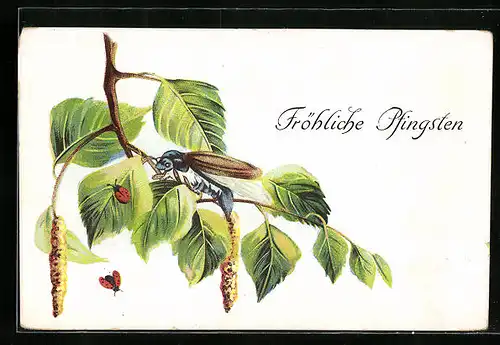 Künstler-AK Maikäfer und zwei Marienkäfer mit einem Birkenzweig