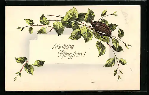 Präge-AK Ein Maikäfer auf einem Birkenzweig, Pfingstgruss