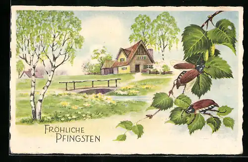 Künstler-AK Maikäfer laben sich an einem Zweig vor Landschaft mit Haus und Brücke, Pfingstgruss