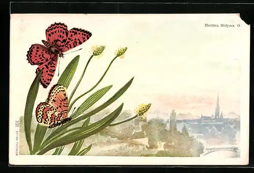 Künstler-AK Zwei Schmetterlinge auf einerPflanze, mit Blick auf einen Ort