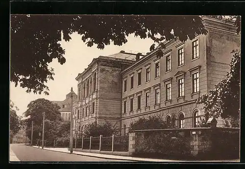 AK Freiberg, Gymnasium Albertinum mit Strassenpartie