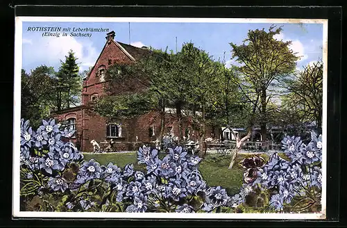 AK Reichenbach /O.-L., Gasthaus Rothstein und Garten mit Leberblümchen