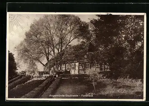 AK Angermünde-Stadtheide, Partie am Forsthaus