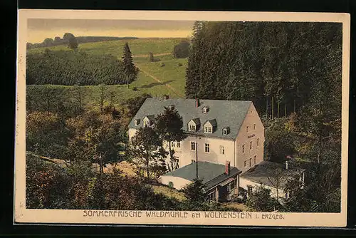 AK Wolkenstein /Erzgeb., Sommerfrische Waldmühle aus der Vogelschau