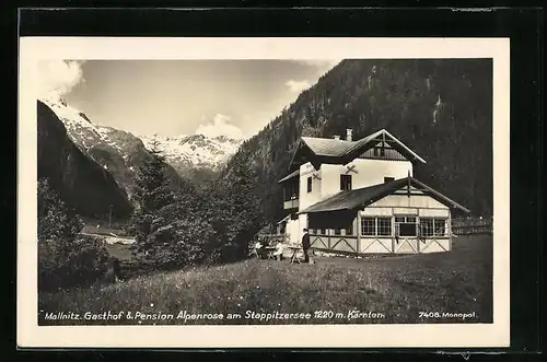 AK Mallnitz, Gasthof und Pension Alpenrose am Stappitzersee