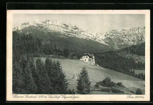 AK Preiner Gscheid, Gasthof von Engelbert Geyschläger mit Blick zum Rax