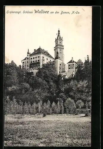 AK Wallsee a. d. D., Blick zum Erzherzogl. Schloss