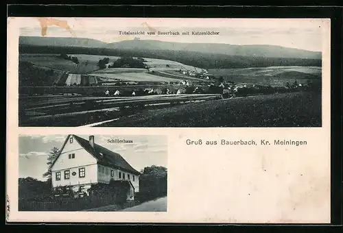 AK Bauerbach /Kr. Meiningen, Totalansicht mit Katzenlöcher, Schillerhaus