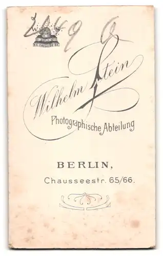 Fotografie Wilhelm Stein, Berlin, Chausseestrasse 65-66, Halbwüchsiger Knabe im Anzug mit Fliege