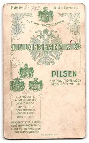 Fotografie J. F. Langhans & Co., Pilsen, Smetana-Promenade 5, Junger Herr im Anzug mit Krawatte