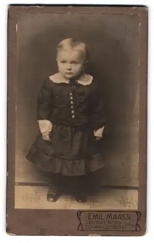 Fotografie Emil Maass, Schneeberg i. Sa., Kleines Kind im Kleid