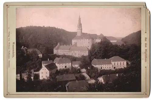 Fotografie Wilhelm Hoffmann, Dresden, Ansicht Weesenstein, Blick über die Stadt zum Schloss Weesenstein