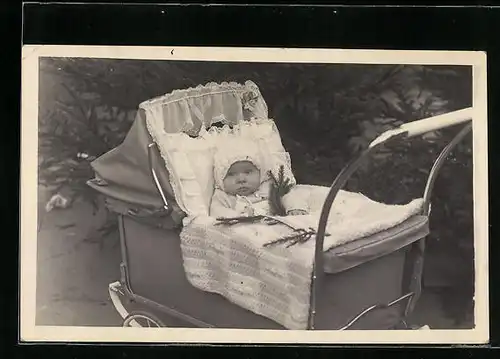 Foto-AK Kleinkind mit Tannenzweig im Kinderwagen