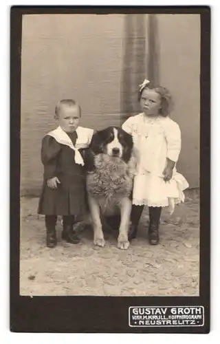 Fotografie Gustav Groth, Neustrelitz, zwei Kleinkinder in Kleidern posieren mit ihrem Hund im Atelier