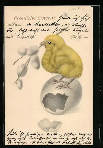 Lithographie Osterküken mit Palmkätzchenzweig