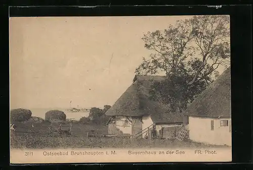 AK Brunshaupten i. M., Bauernhaus an der See